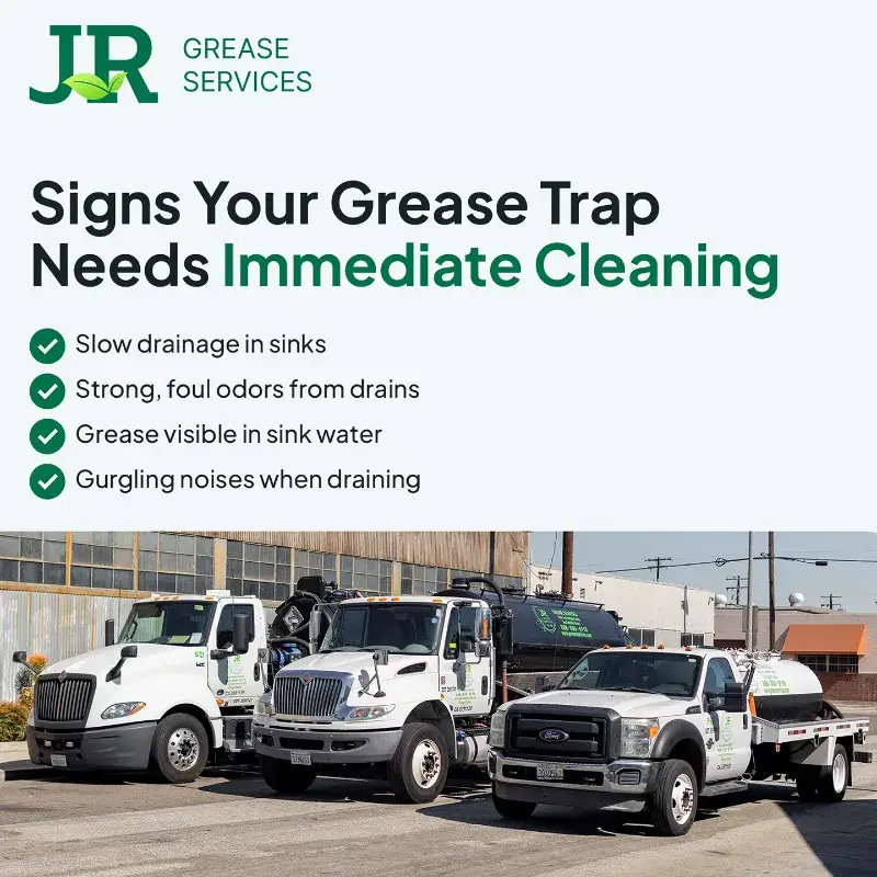 JR Grease result